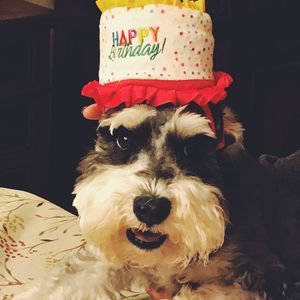 Meet your Posher, Susan